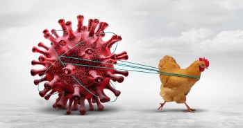 Bird Flu Curbed in Seven Districts; Kathmandu Valley on Alert