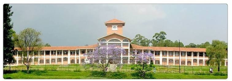 New Scholarship Program for Engineering Students